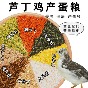 �J���u��Ϯa���Z�R���u����I�Bʳ���µ��Zʳ��С�u�_�����r
