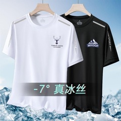 新品夏メッシュアイスtシャツ男丸首速乾衣カジュアル半袖トレンドプリント通気性大きいサイズスポーツ