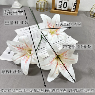 ?3�^�ٺ�3D��ӡ�z����c�b�Y�û����廨·���[�� ��