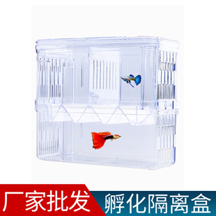 Peacock Fish Breeding Box Fish Tank Acrylic Isolation Box Extra Large Spawning Hatching Room Small Fish Fry Young Fish