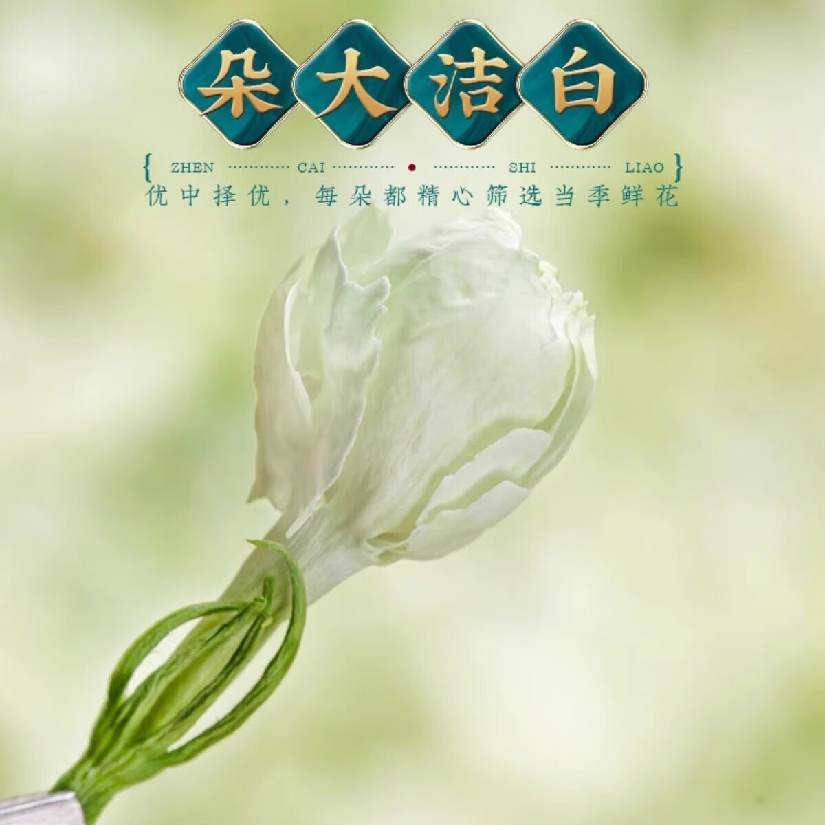 Dried Jasmine Flower Tea Mo Li Hua 茉莉花 500g Guangxi Buds for Herbal Infusions key features