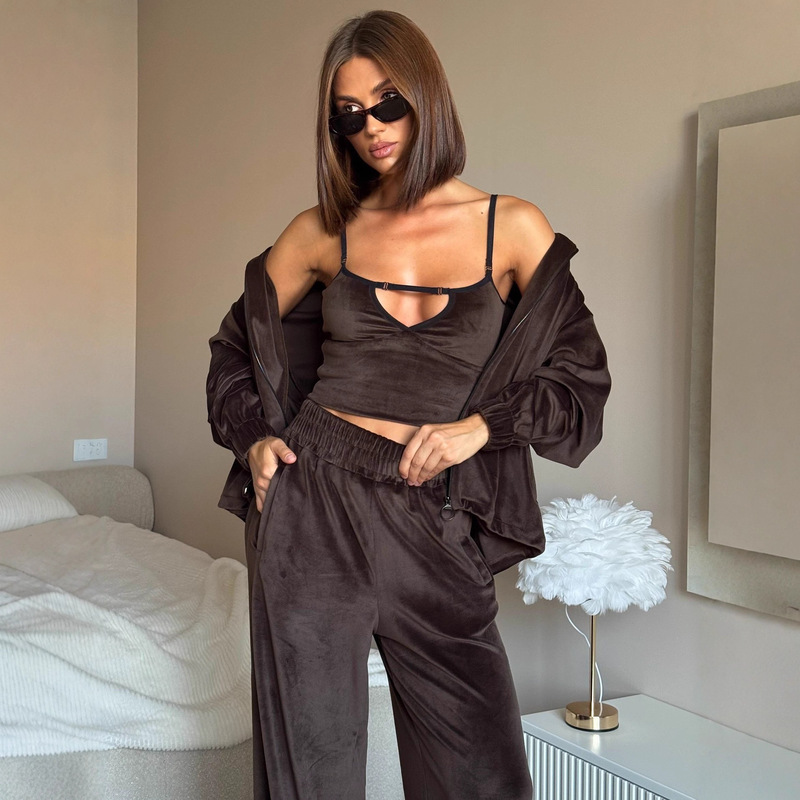 Cross-Border European and American Casual Silver Fox Velvet Suit Women's Solid Color Long-Sleeved Hooded Zipper Cardigan Elastic Wide-Leg Pants Two-Piece Set