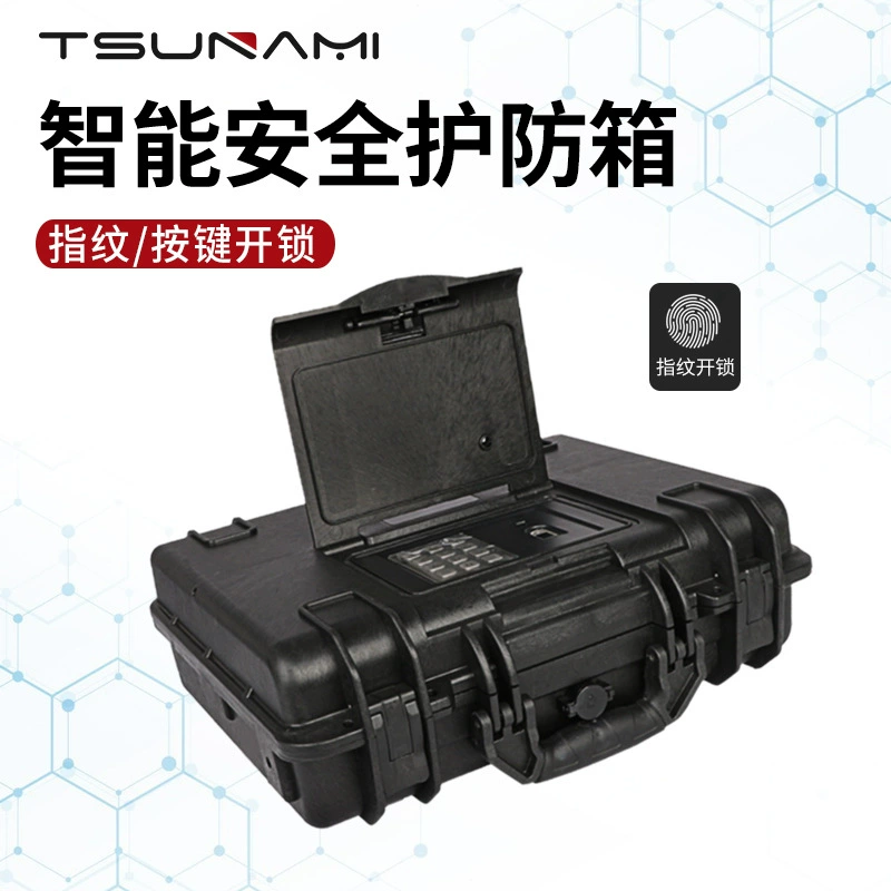 Заводская поставка Fingerprint Key Security Box Ювелирные изделия Ценные документы Портативный Сейф