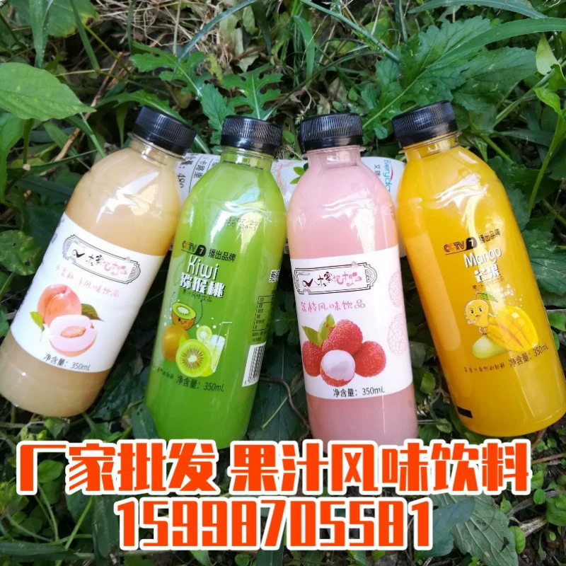Сок со вкусом фруктового сока 350mlX12 бутылка сока киви, сок манго, медовый персиковый сок, сок личи фруктовый коктейль