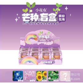 儿童种植小盆栽盲盒创意迷你植物科学实验益智幼儿园毕业礼品奖品