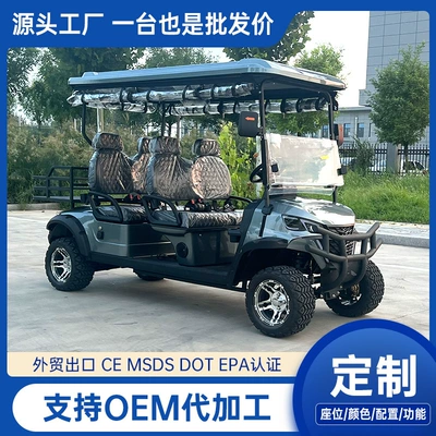 Car, Community Patrol Car, Tour – Elektrikli qolf avtomobilləri