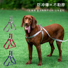 Meianju 反射牽引ロープ 3 点セット首輪犬の散歩チェストバックダイビングナイロンソフトインナーで快適な感触