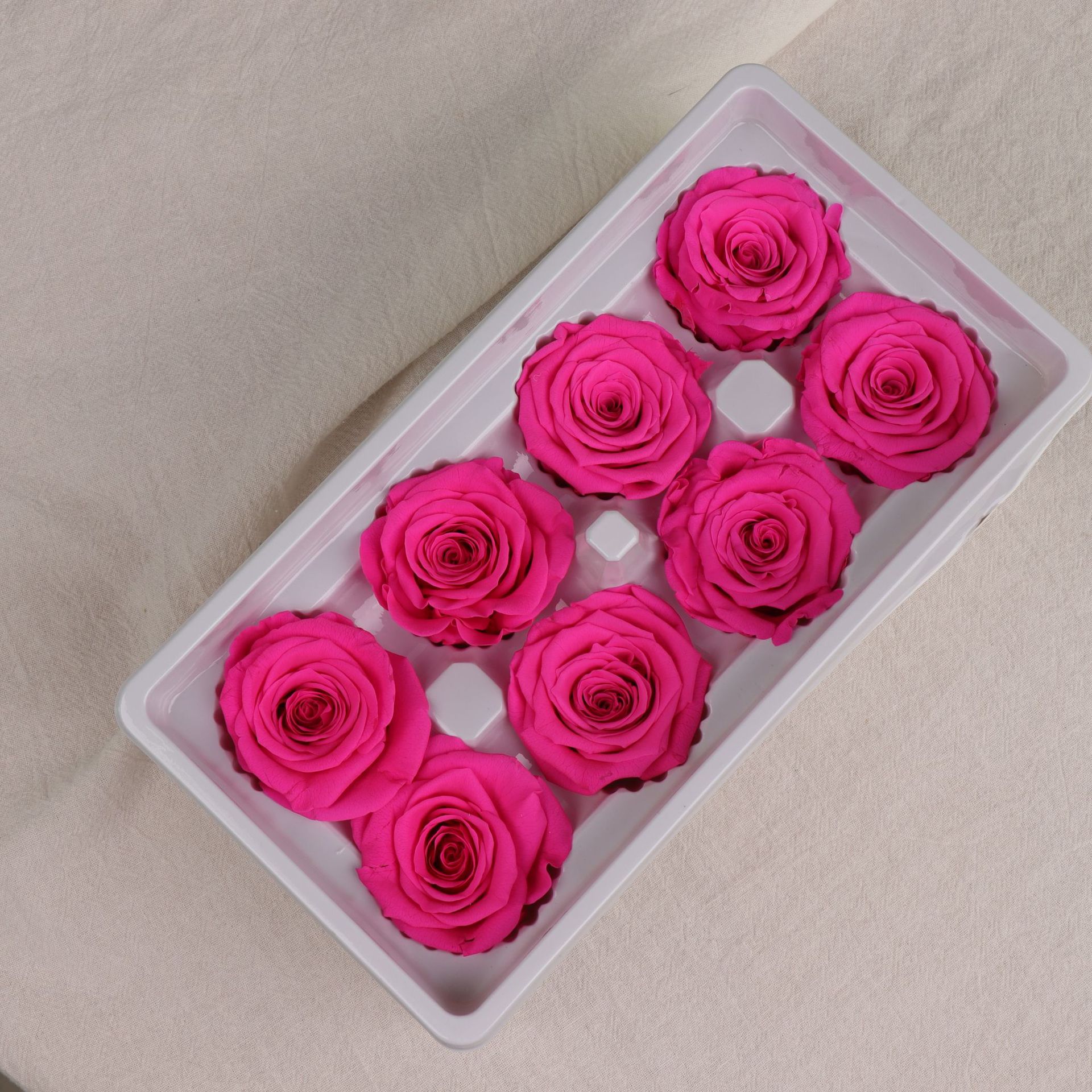 Grado A Rododendro rojo 4-5cm-8 flores/caja