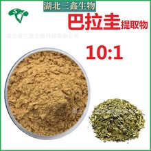 巴拉圭茶提取物10：1 马黛茶提取原料茶粉 水溶性马黛茶粉 茶多酚