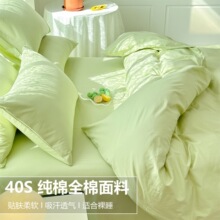ȫ���ļ��׼��޴��ϴ�Ʒ���μ�ɫ�Gɫ���s100����1.8m������4����