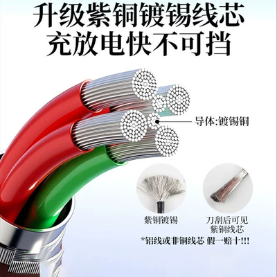 Other Electric Vehicle Accessories: Male-Female Adapter High-Power Charging