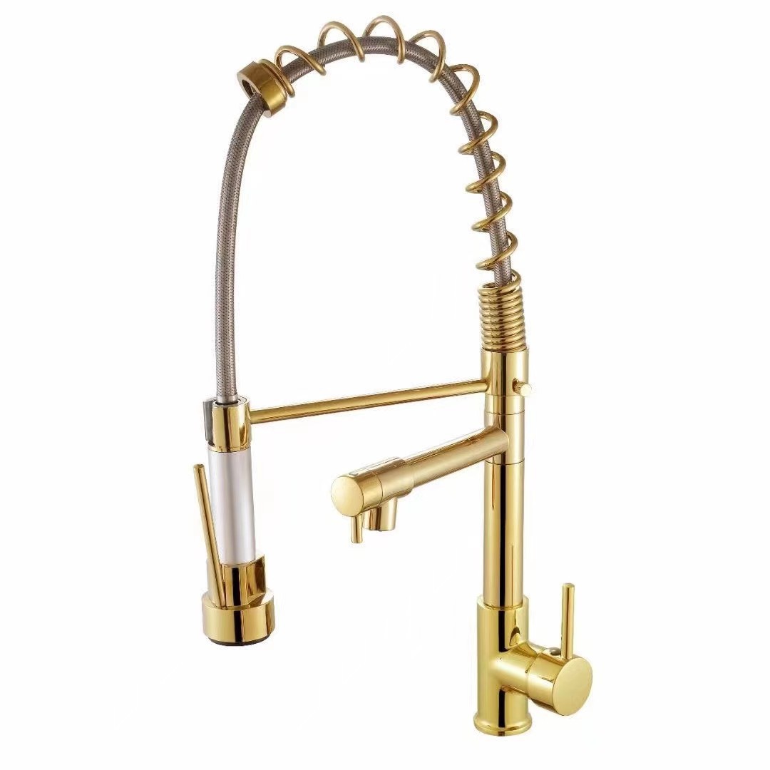 Grifos de cocina de acero inoxidable grifos de primavera transfronterizos para la cocina mayorista lavabo doble función grifos de agua caliente y fría