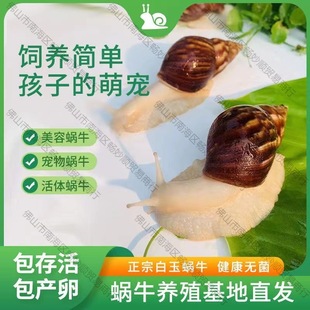 ΁ţ���l�W���^�p����[������ֳ�����