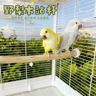 �W�^Ұ��ľվ���_���B�\��վ���B�\������P��Ƥľ�|�����ܗU�쾰