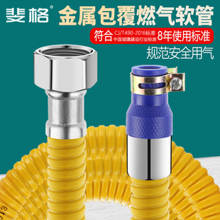 Domestic explosion-proof armored gas pipe liquefied gas natural gas pipe gas connection stove tank water heater metal hose