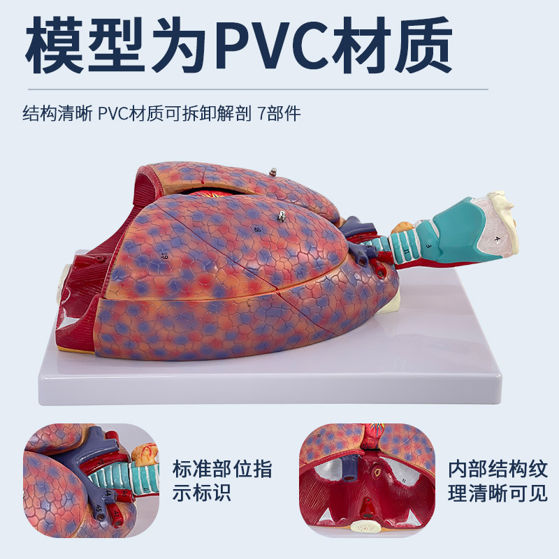 ҽ��������ķκ�����״�ٷ��������ϵͳ�β�������������ģ��