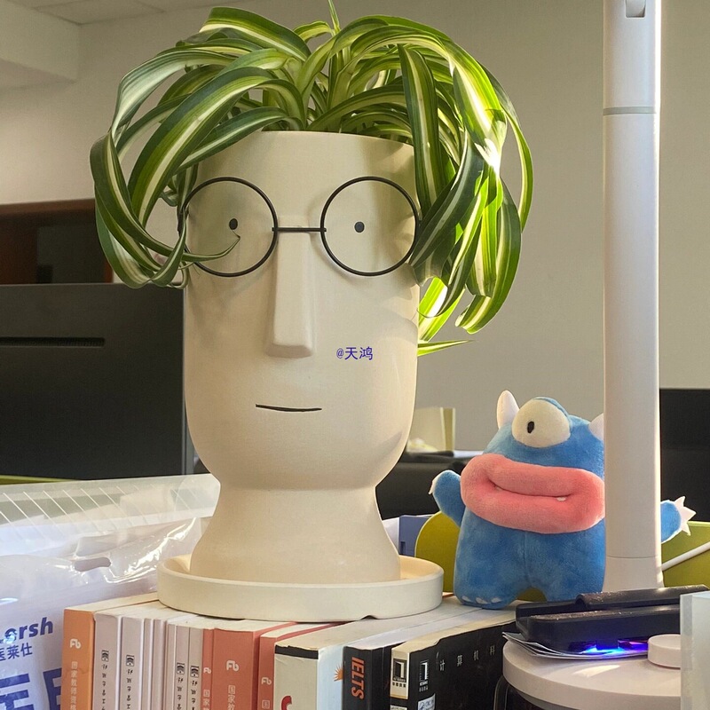 Minimalist Plain-Fired Glasses Abstract Portrait Ceramic Pot with Holes Flower Pot Tray for Home Graffiti Green Plants, Pothos, and Succulent Potted Plants