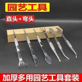 镊子耙子两用型加厚不锈钢材质园艺盆景松土梳根摘芽压土好帮手