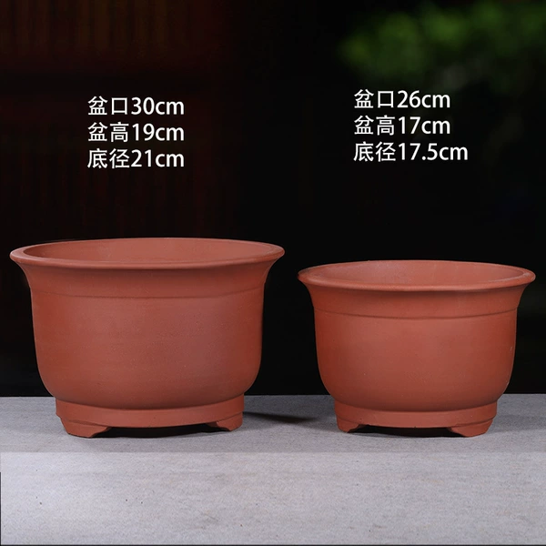Lotus color pony basin 30cm+26♜♜