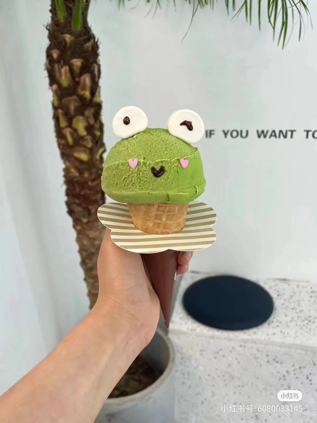 0ca2f9626b46a0929805541b43a86a