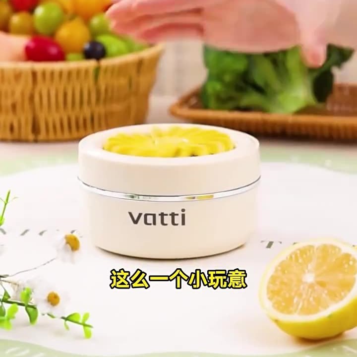 跨境无线果蔬清洗净化器食材清洗机家园水果除菌除农残自动洗菜机|undefined