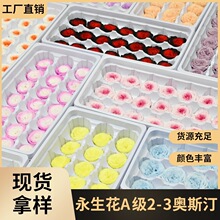 幻花永生花A级2-3奥斯汀21朵/盒diy巧克力花材材料生日钥匙扣挂件