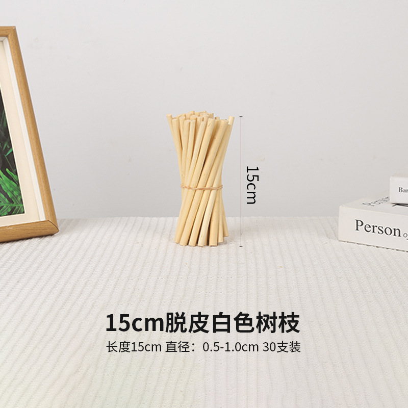 30 cành trắng 15cm dày khoảng 0,5-1cm