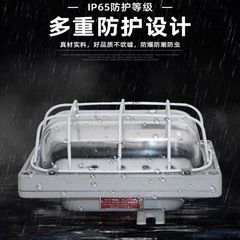 led防爆顶灯壁灯仓库车间灯圆形防爆冷库顶灯防爆防尘三防灯工厂