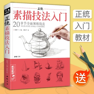 经典全集 正统素描技法入门 零基础自学教程书籍铅笔绘画画册临摹
