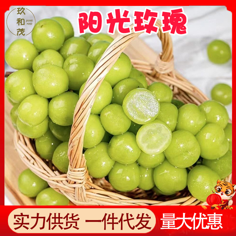 正宗阳光玫瑰5斤整箱新鲜当季葡萄孕妇时令水果3斤批发包邮10晴王