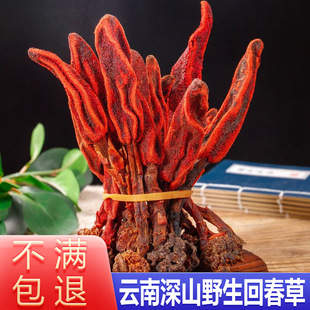 �����ɽҰ���ش���500����؛��Ʒ��������ϲ��������a�ݾ��ݲ�