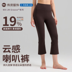 LULUヨガのズボンの女性の運動の小さいラッパのタイツの腰が高くて尻のフィットネスの中で長いです。