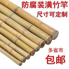 装饰装修防腐毛竹竹子竹竿吊顶隔断挡墙围栏搭架竹杆旗杆白竹黄竹