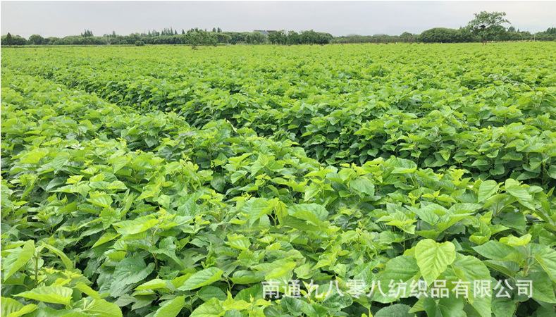 66e9f39fa550a2b2e78199e864610a