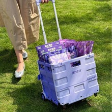 定制两轮折叠拉杆车超市购物车便携购物露营搬运写生买菜可印刷