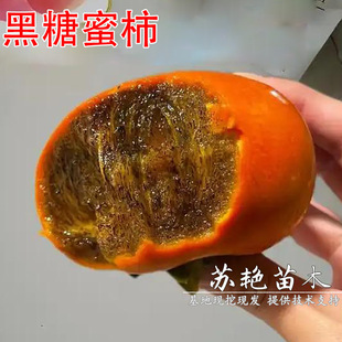 �������޽��ձ��͸�ɽ�������Ә���o�˴����ɿ��������Ә����