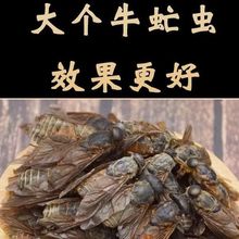 ��Ʒ��؛ţ��xҰţ���x������ţå�x���xæ�x���l���]��Ʒ