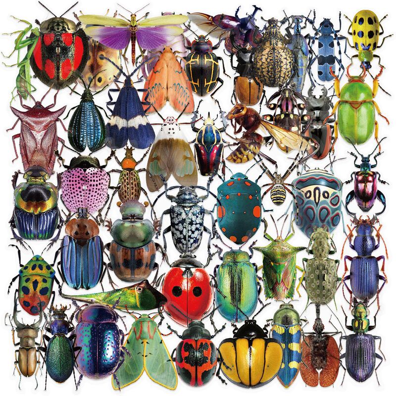 50 sheets transparent cartoon insect sticker bag waterproof transparent PET hand account material decorative guitar notebook wholesale