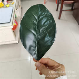 仿真植物 仿真花叶配件 仿真玉兰叶 胶布玉兰叶片 大量批发