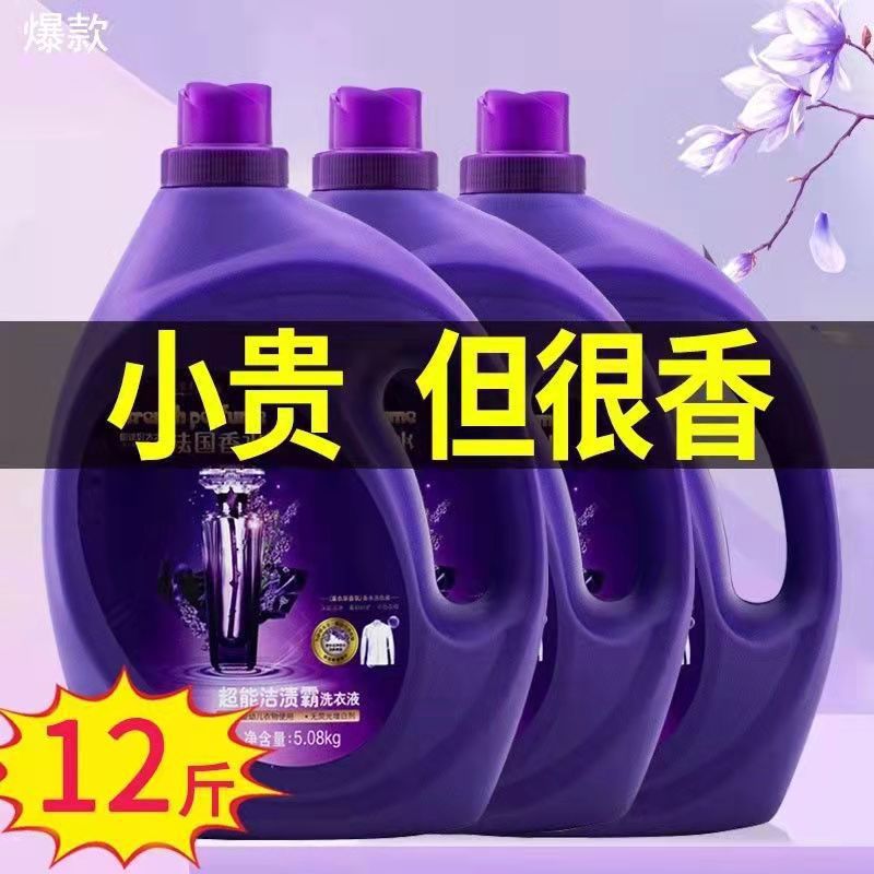 Perfume Laundry Detergent, Long-Lasting Fragrance, Decontamination and Clothing Protection, Household Affordable Laundry Detergent, Whole Box Batch, Factory Direct Sale