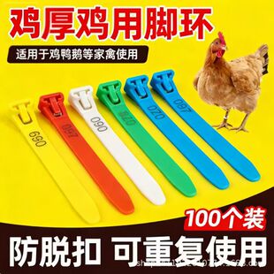 ���ʽ�u�_�h�u���Z�����������������{�����؏�ʹ��ӛ̖�h�R�e�h