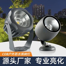 �՘�������ˮ���@�־��^������ز�ƺ�����@��e��ͥԺ��