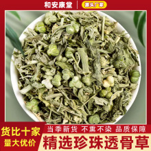 ͸�ǲ���ș����������͸�ǲ��������_���r�������͸�ǲ��в�ș