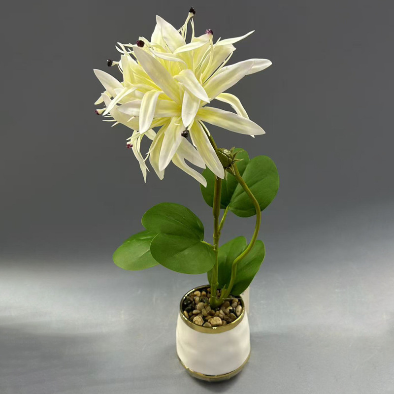 新款植物小盆栽 客厅玄关氛围感装饰仿真植物摆件家居装饰仿真花|undefined
