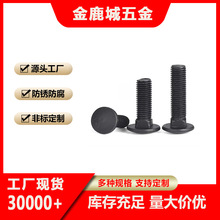 �R܇�ݽz��\�l����˨GB-12M6-M10