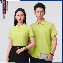 �����Sɣ�Q�z�������п����⾀���I������POLO�N�ۆT���¶���T��