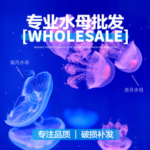 ³ˮĸwlССwˮ庣ˮBֳ㺣