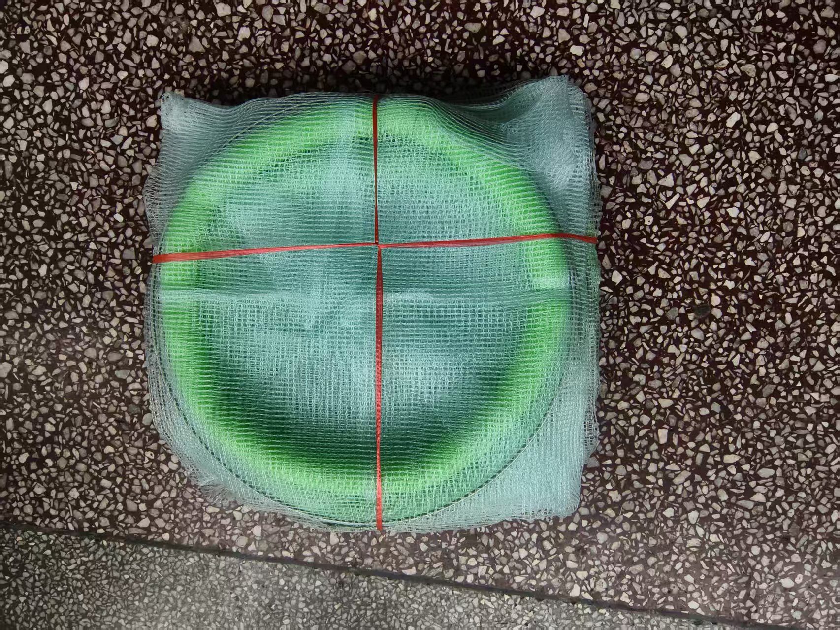 微信图片_20250227142638