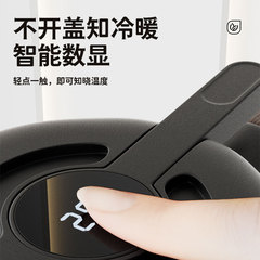 批發一哉老白茶燜茶壺保溫白大師悶泡陶瓷內膽泡茶新款專業家用壺