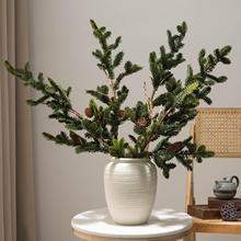 }Qؘ֦ɹG֦ٗl֦ڼֲð~bƷ